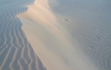 sable sable sable
